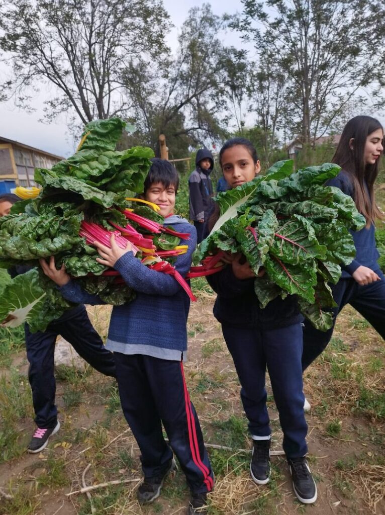 Créditos: Fundación Huertas Comunitarias.