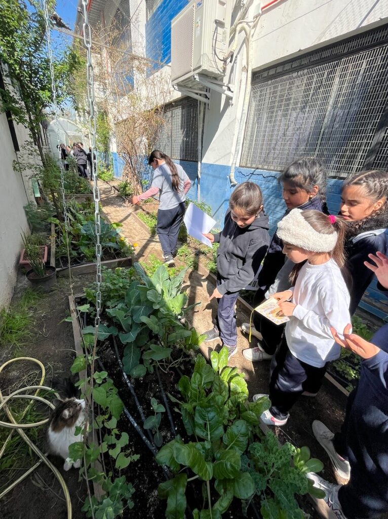 Créditos: Fundación Huertas Comunitarias.
