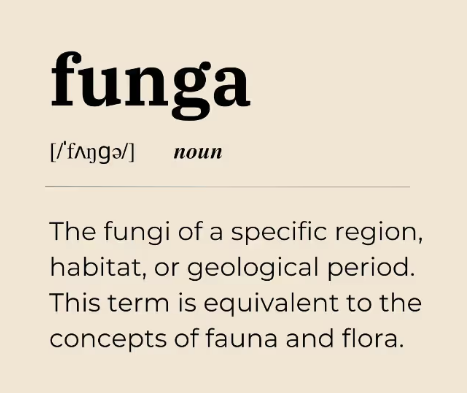 Definición de "funga" en el Cambridge Dictionary. Créditos: ©Fundación Fungi