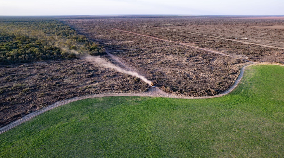 ARGENTINA: cómo burlaron la Ley de Bosques en la provincia de Chaco para deforestar medio millón de hectáreas