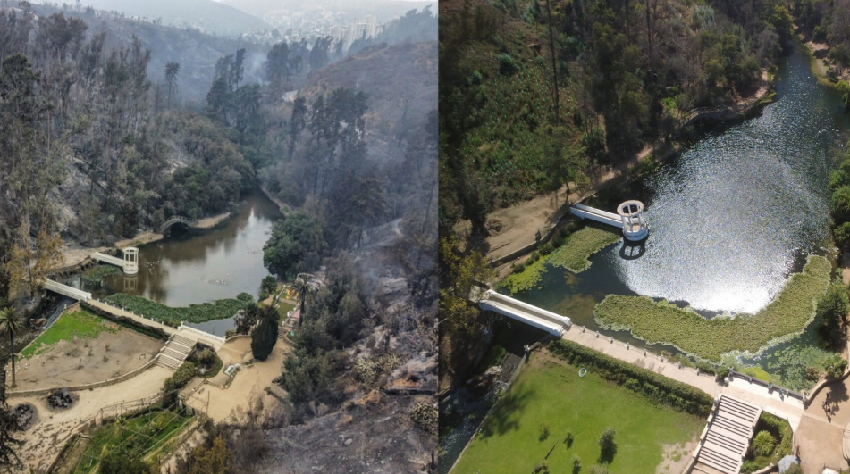 El Jardín Botánico de Viña del Mar resurge de las cenizas convertido en un laboratorio de adaptación climática