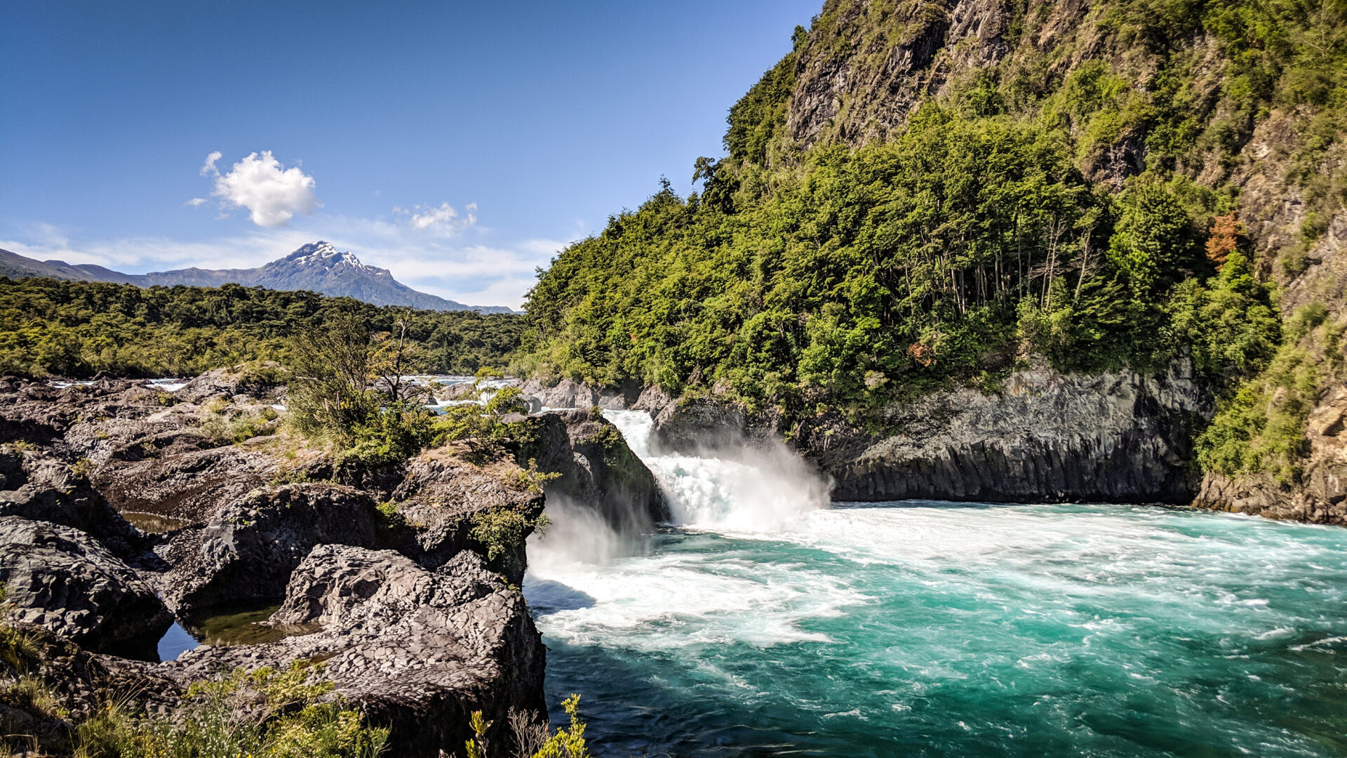 ¡Cupos limitados! Chile celebra 100 años de parques nacionales con dos imperdibles eventos en Puerto Varas y Santiago
