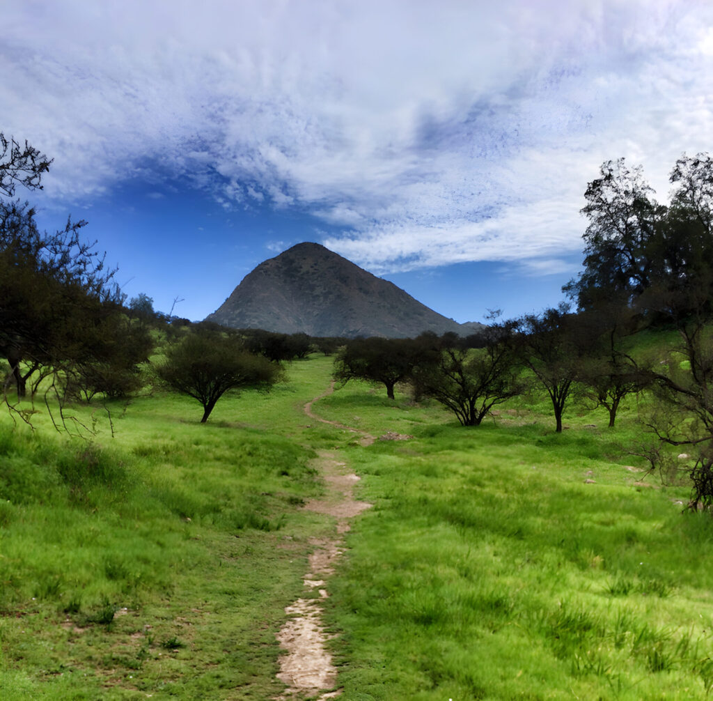 Cerro Manquehue. Créditos: ©Sergio Contardo