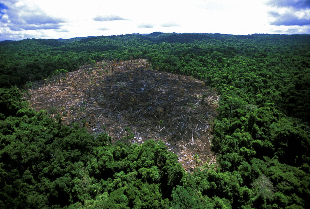 "Desde un helicóptero, en una ocasión documenté la destrucción del bosque tropical de la Selva Lacandona, en Chiapas." Créditos: ©Fulvio Eccardi
