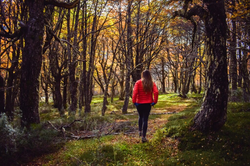 Aysén, Camino entre castillo a cruce Balmaceda Créditos: Cristian Rivas