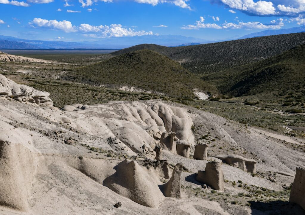 Hongos Blancos de Tocota, localidad de San Juan, Argentina. Créditos (CC-BY): Jade Sívori.