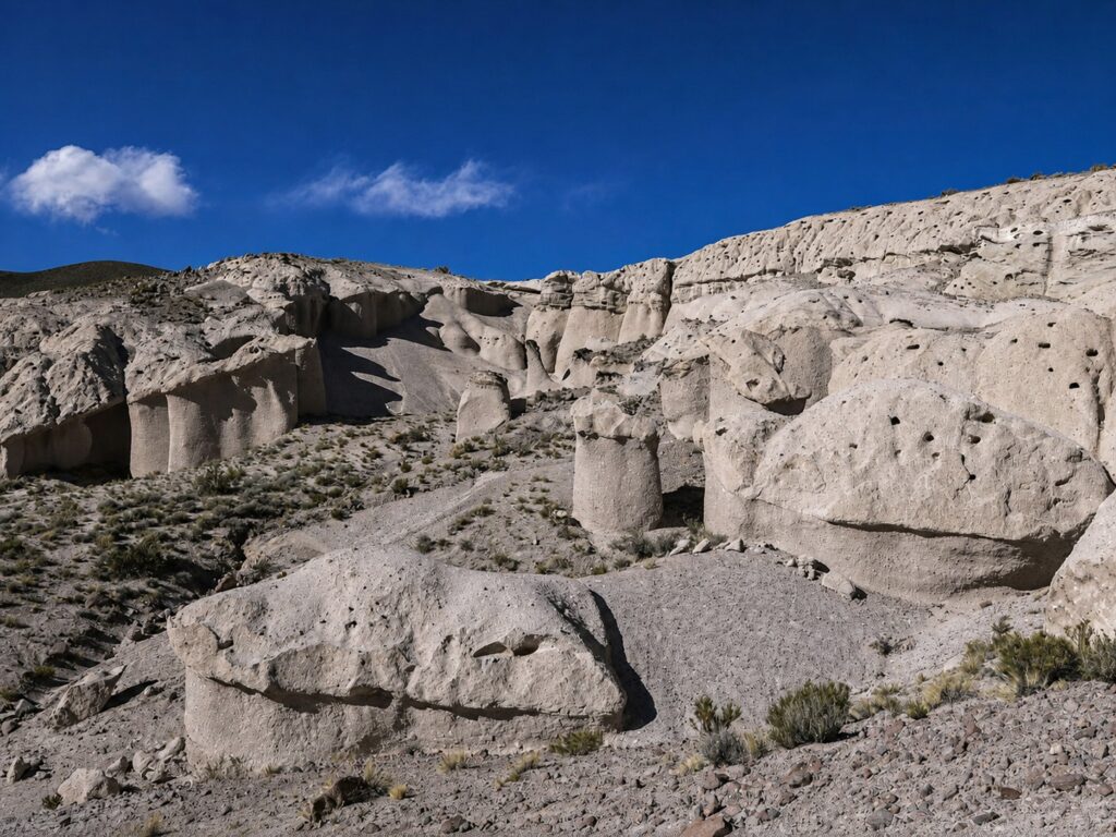 Hongos Blancos de Tocota, localidad de San Juan, Argentina. Créditos (CC-BY): Jade Sívori.