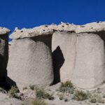 Hongos Blancos de Tocota, localidad de San Juan, Argentina. Créditos (CC-BY): Jade Sívori.