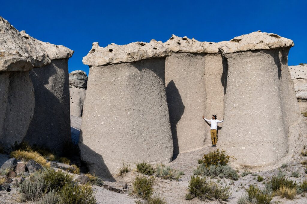 Hongos Blancos de Tocota, localidad de San Juan, Argentina. Créditos (CC-BY): Jade Sívori.