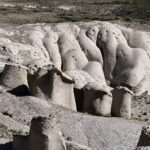 Hongos Blancos de Tocota, localidad de San Juan, Argentina. Créditos (CC-BY): Jade Sívori.