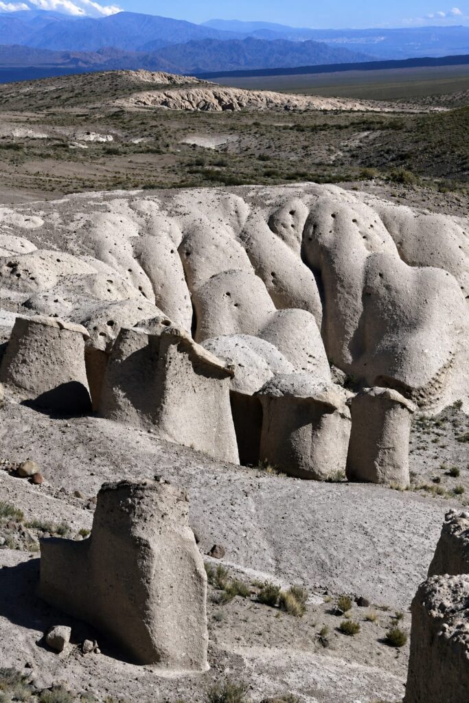 Hongos Blancos de Tocota, localidad de San Juan, Argentina. Créditos (CC-BY): Jade Sívori.