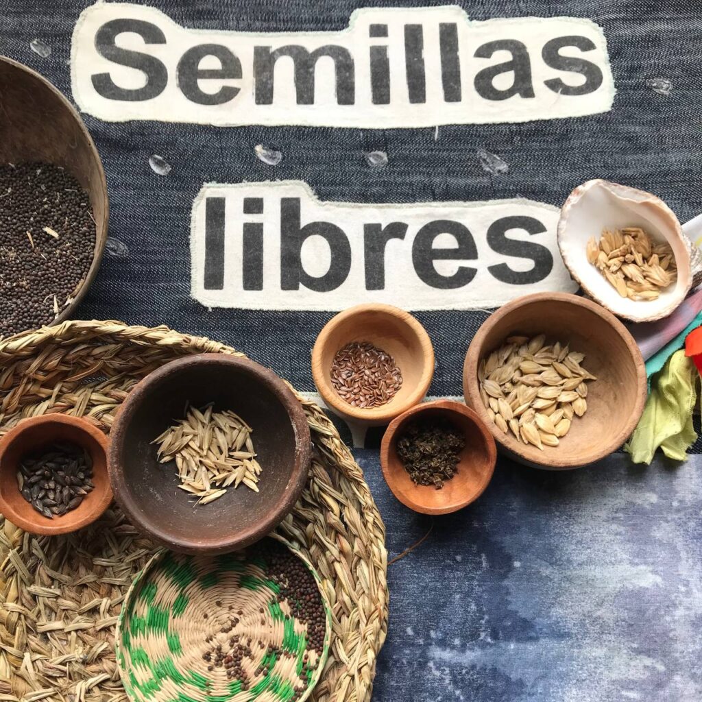 Créditos: Semilla Austral.