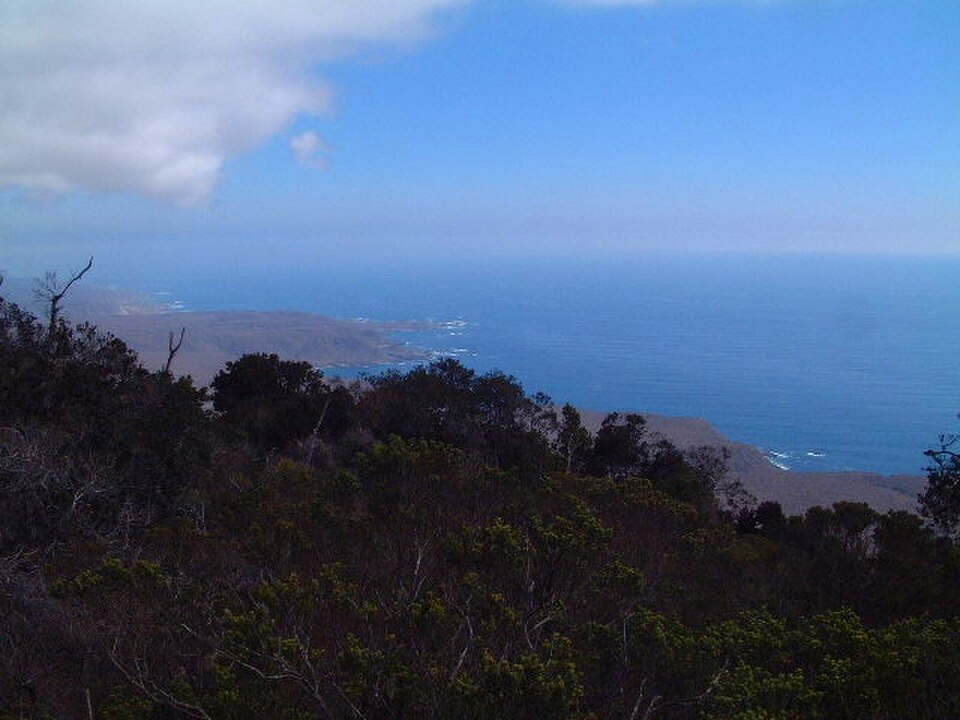 Parque Nacional Bosques de Fray Jorge Crédito: Jose Antonio Valdivieso