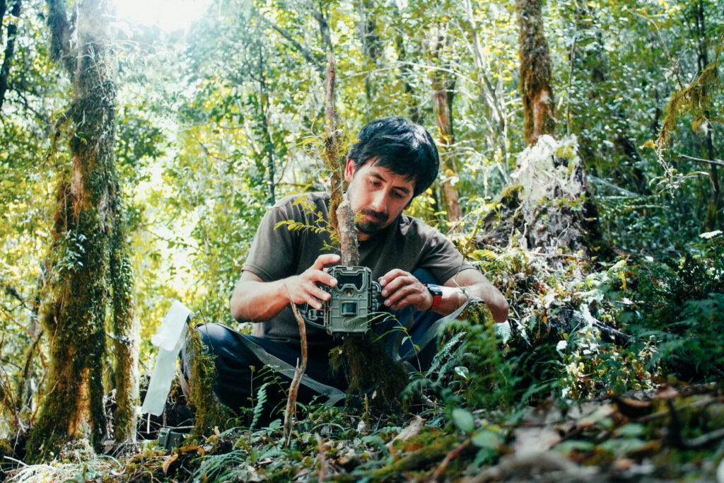 Investigador Fernando Novoa con cámaras. Créditos: Puelo Patagonia.