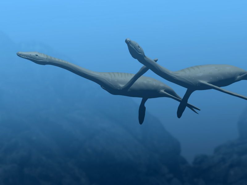 Reconstrucción de un plesiosaurio de cuello largo. Créditos: Nobu Tamura