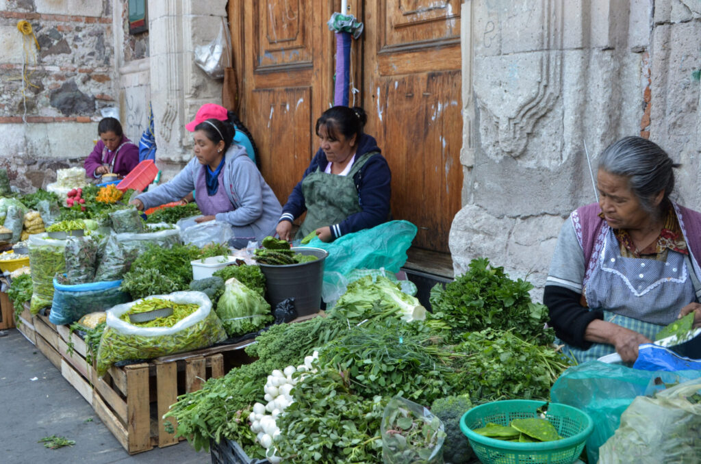 Vendedoras de quelites y nopales en Pachuca, Hidalgo. Créditos: Andrea Mayerly Niño Hernández