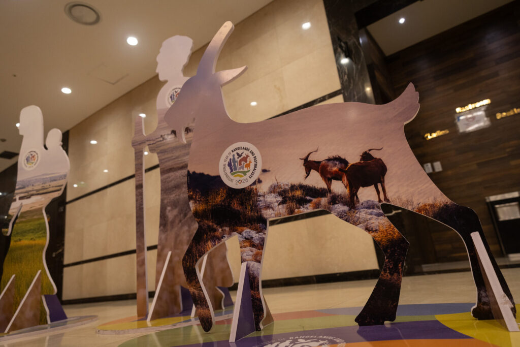 En 2026, se celebra el Año Internacional de Pastizales y Pastores. Créditos: cortesía UNCCD