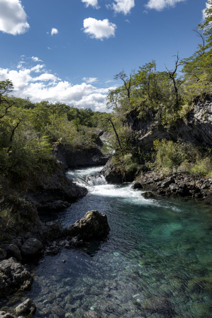 Parque Nacional Vicente Pérez Rosales. Créditos (CC-BY): Benjamín Valenzuela.