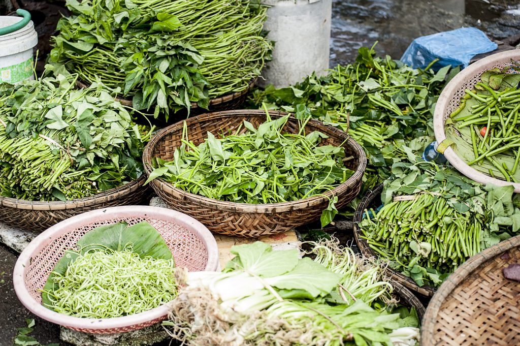 De «malezas» incomprendidas a superalimentos: porqué urge rescatar los más de 350 quelites de México