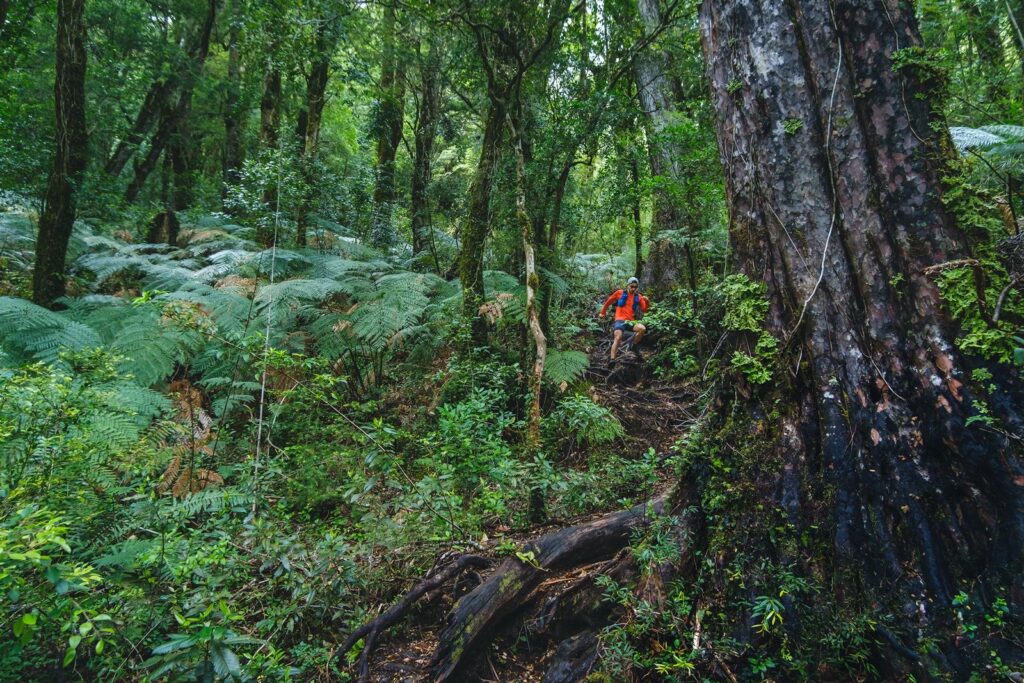 Running With Huemuls, Fundo Puchegüín Créditos: Rodrigo Manss