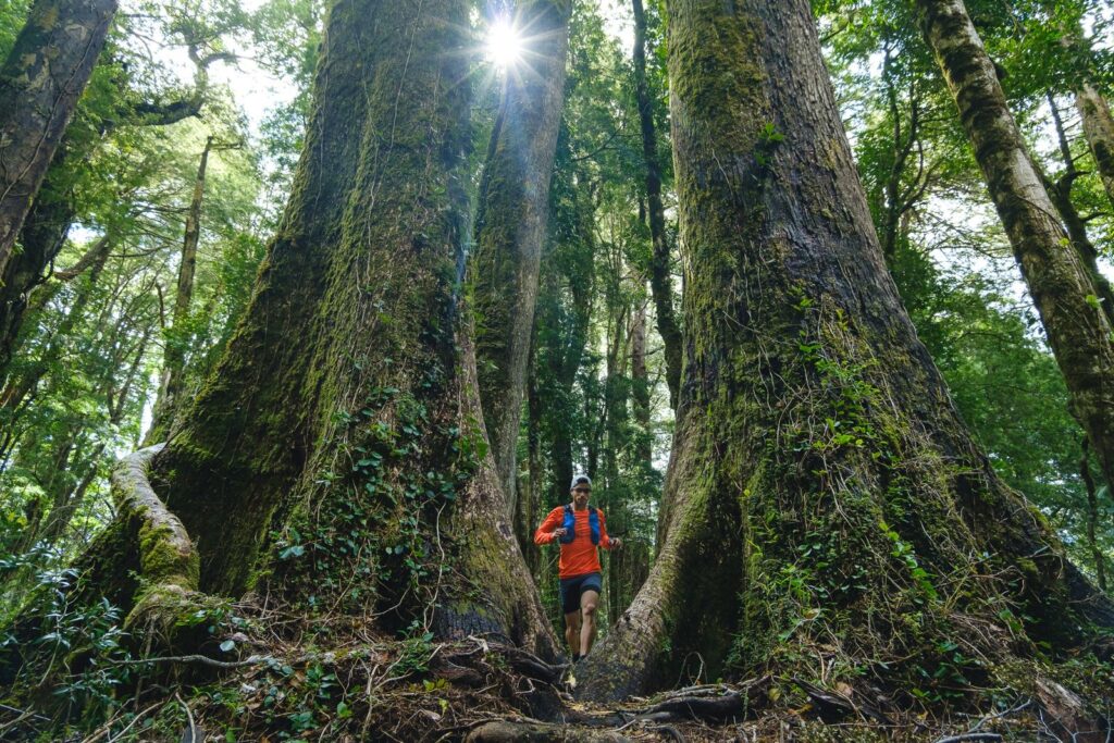 Running With Huemuls, Fundo Puchegüín Créditos: Rodrigo Manss