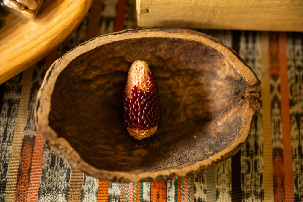 Créditos: Semilla Austral.