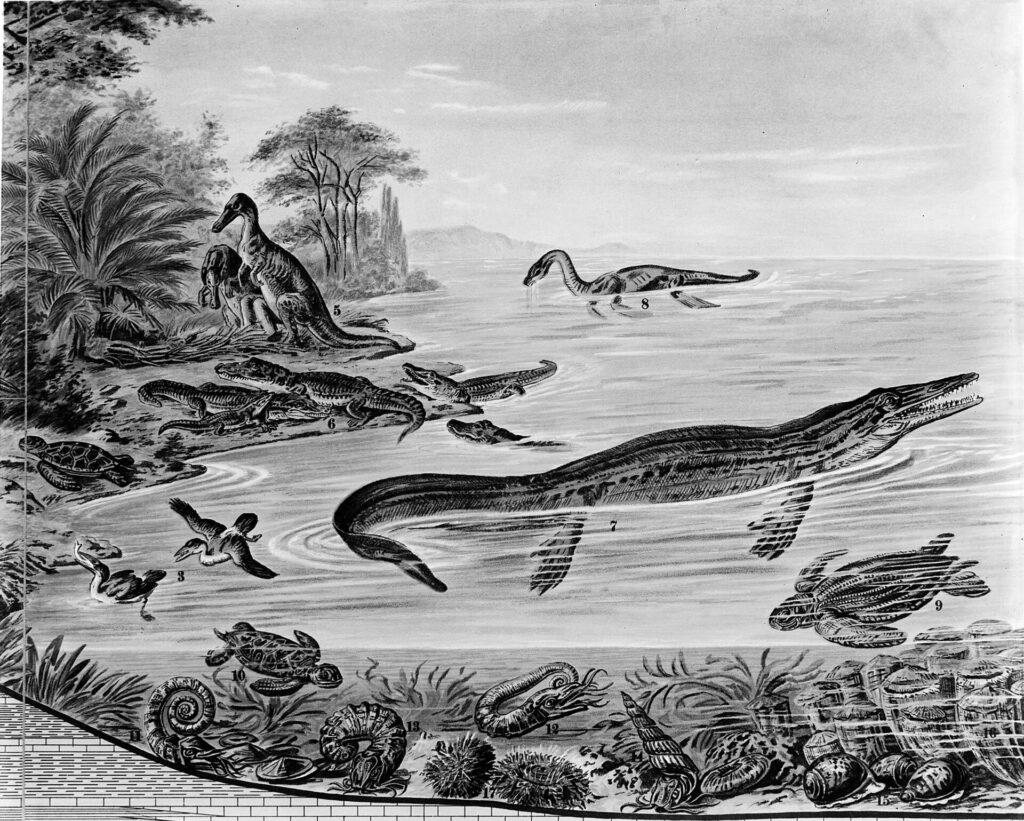 Fauna del Cretácico. Créditos: Wellcome Library, London