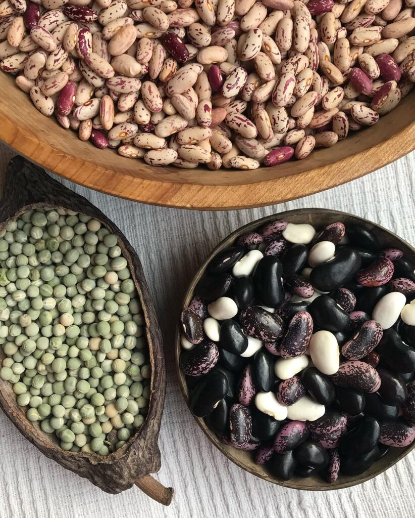 Variedad de semillas. Créditos: Semilla Austral.