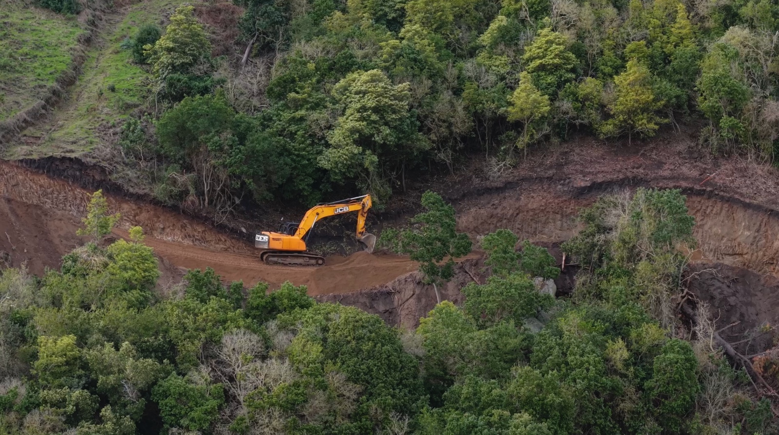 Preocupación en la Región de Valparaíso: CONAF verifica tala ilegal de bosque nativo para construcción de camino en el Cerro La Higuera