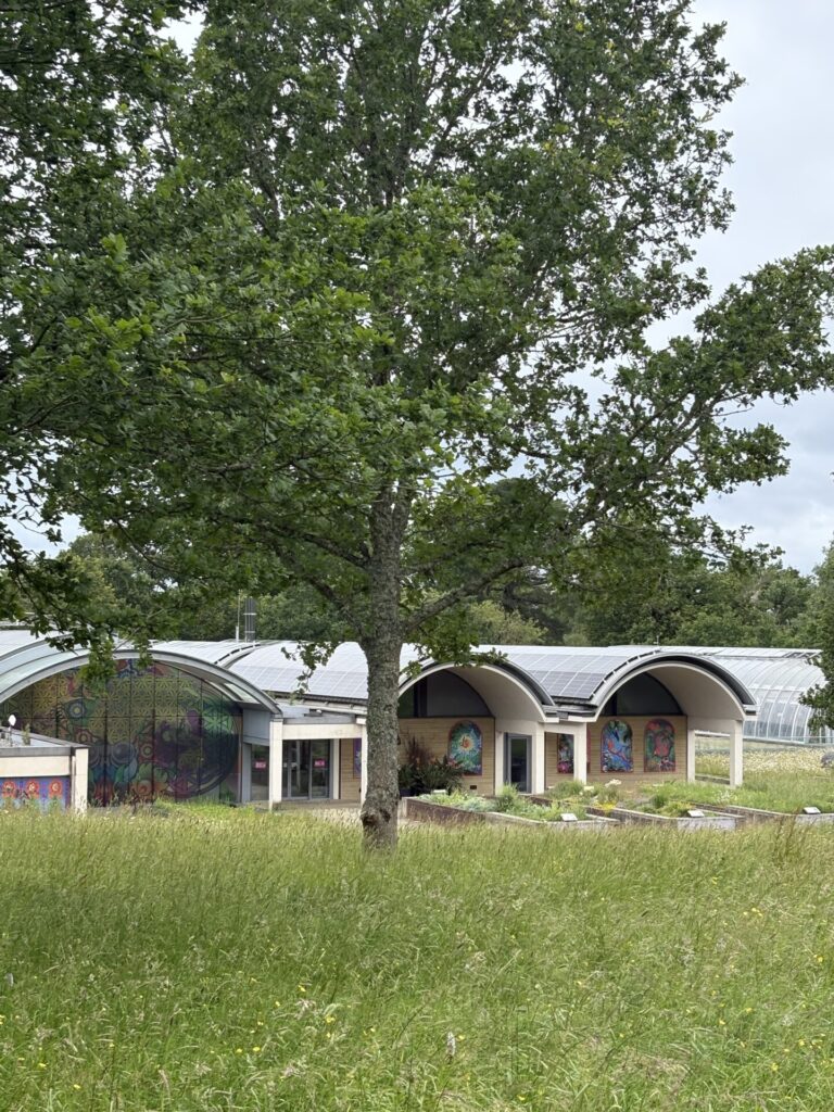 El Millennium Seed Bank (Banco de semillas del Millenio), ubicado en el Jardin de Wakehurst, en la región de Sussex, al sur de Londres, donde se conservan las semillas de Dendroseris neriifolia. Crédito: © Paulina Hechenleitner 