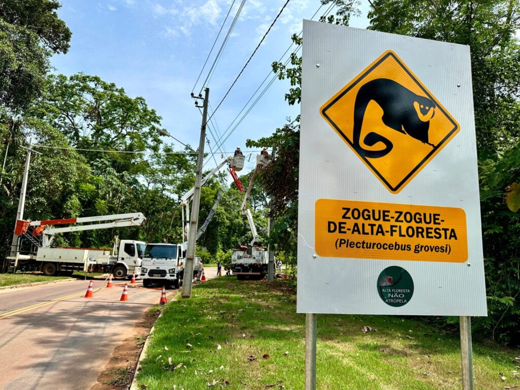 Instalación de los primeros puentes colgantes en Alta Floresta, en 2024. Foto: cortesía programa Alta Floresta Não Atropela