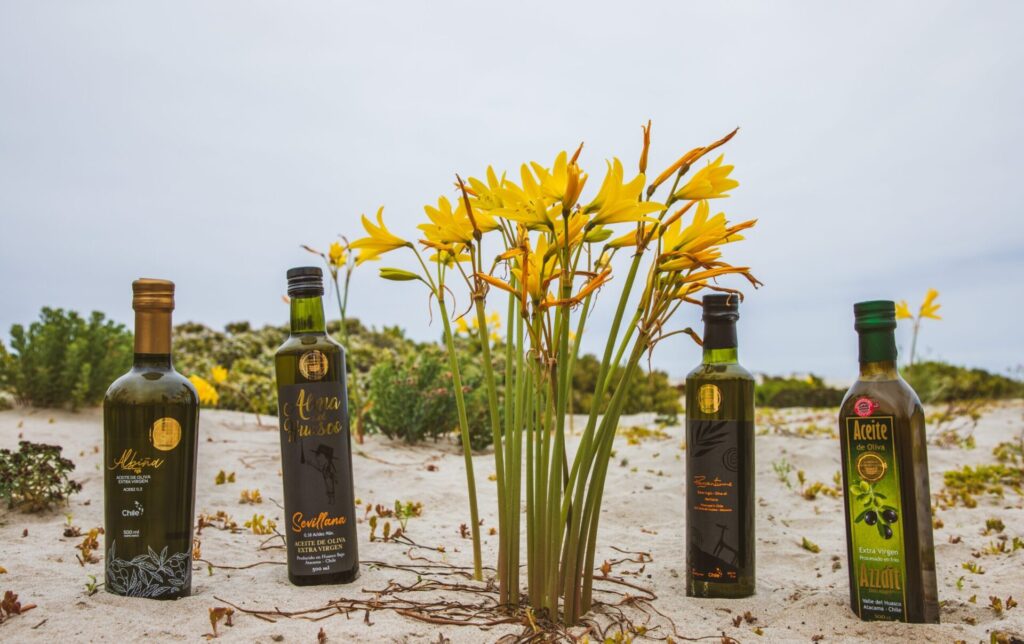 Aceite de oliva del valle del huasco c INDAP
