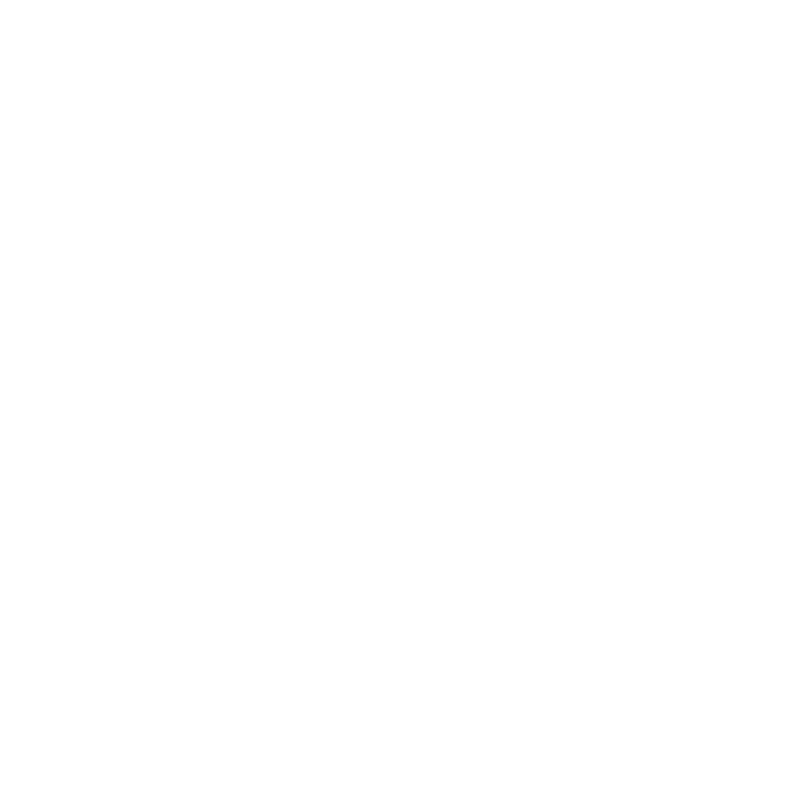Aldea Nativa