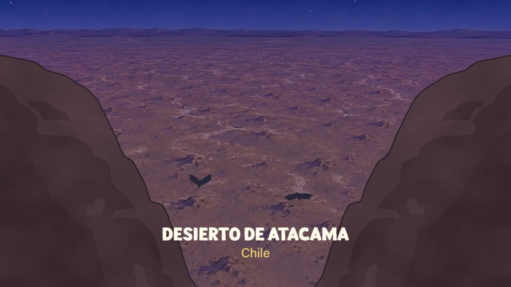 Animación golondrina de mar negra, colonia reproductiva Créditos: Red de Observadores de Aves y Vida Silvestre de Chile (ROC)