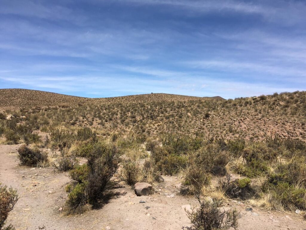 Muestras del desierto de Atacama Créditos: Fernando Alfaro