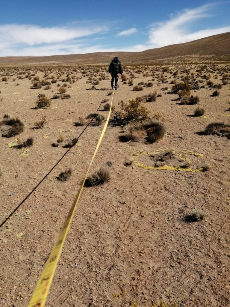Muestras del desierto de Atacama Créditos: Fernando Alfaro