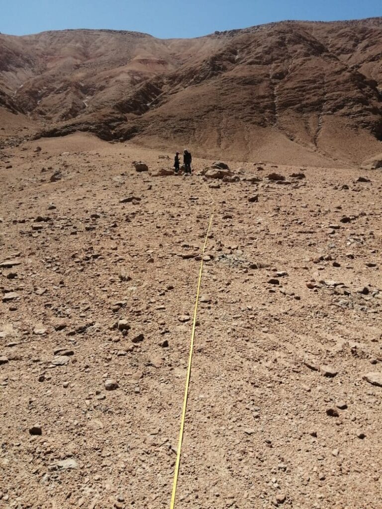 Muestras del desierto de Atacama Créditos: Fernando Alfaro