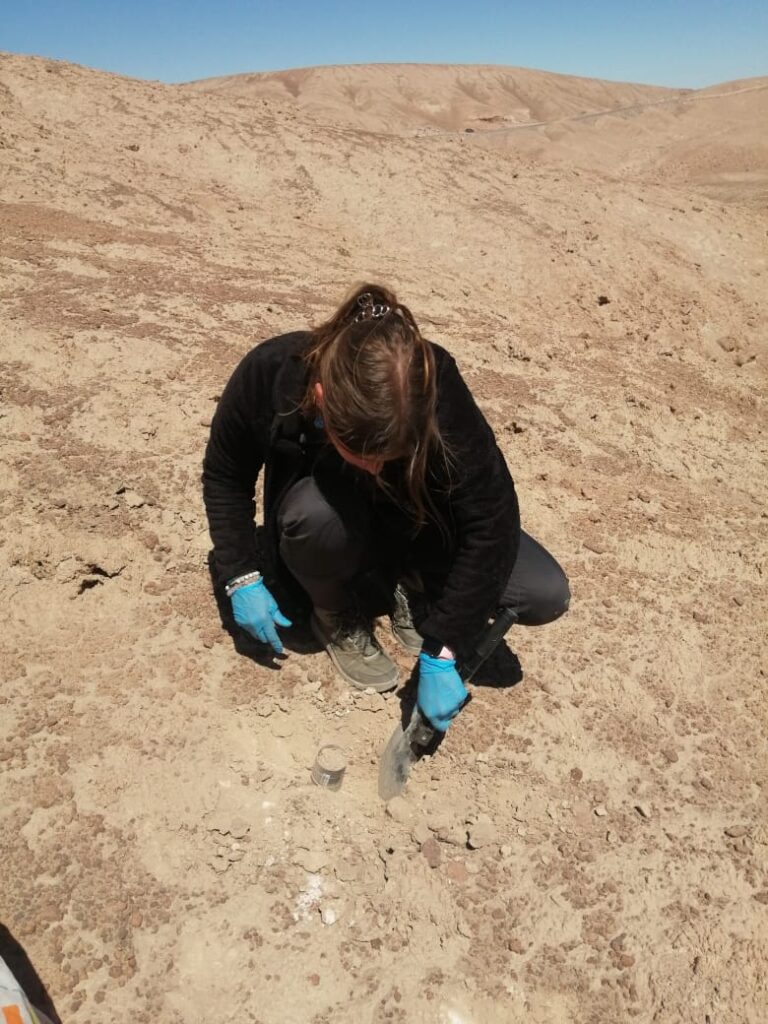 Muestras del desierto de Atacama Créditos: Fernando Alfaro