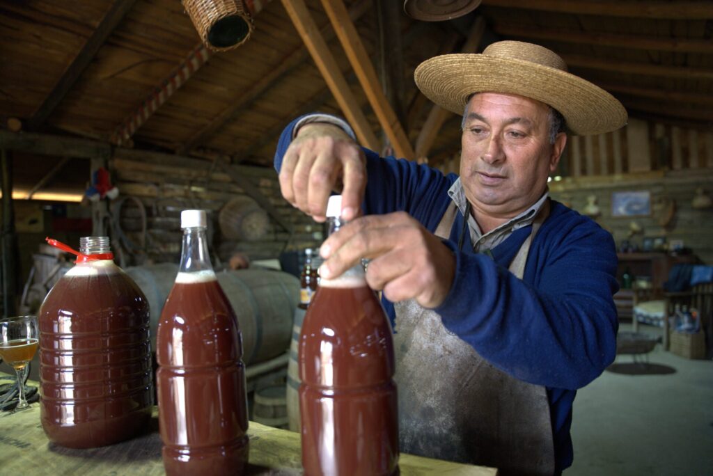 Chicha de Curacaví - Chichero Segundo Daine c Instituto de Desarrollo Agropecuario (INDAP)