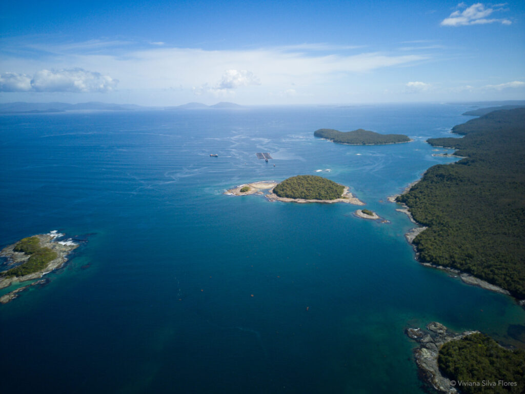 Contar el mar(itorio), Región de Aysén Créditos: Viviana Silva Flores