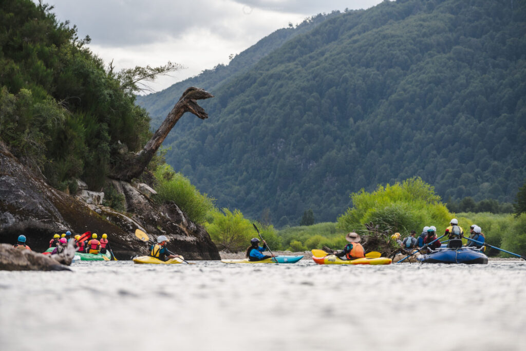 El Tranquilosaurio, un antiguo habitante que sorprende a quienes se atreven a aventurarse en las aguas del Palena.
Créditos: German Weber