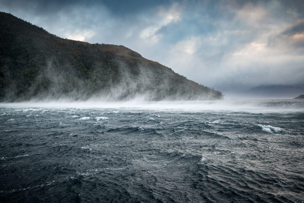 Expedición marina Créditos: Eduardo Sorensen para Rewilding Chile
