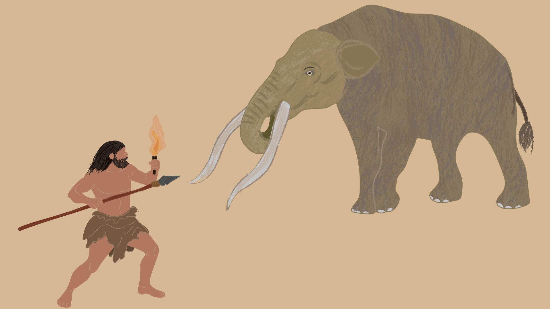 ¿Cómo era Monte Verde hace 14.500 años? Publican guía que profundiza en la historia de uno de los asentamientos humanos más antiguos de América
