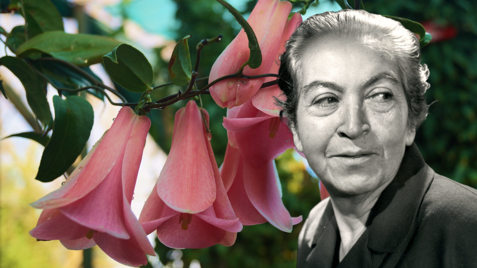 El mapa natural que Gabriela Mistral trazó en versos: un recorrido por los paisajes y especies de Poema de Chile