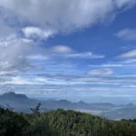 Monitoreo forestal llevado a cabo en San Felipe, Michoacán. Créditos: FOCEN
