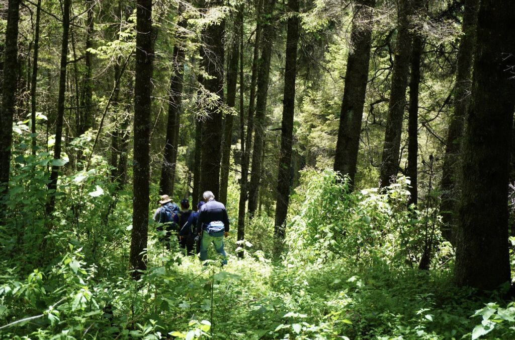 Monitoreo forestal. Créditos: FOCEN 