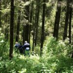 Monitoreo forestal. Créditos: FOCEN