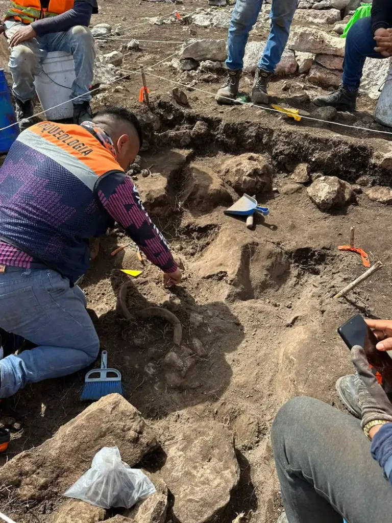 Los investigadores no localizaron entierros humanos en las áreas exploradas, posiblemente debido a la poca profundidad de los depósitos sobre la roca madre. Créditos: INAH