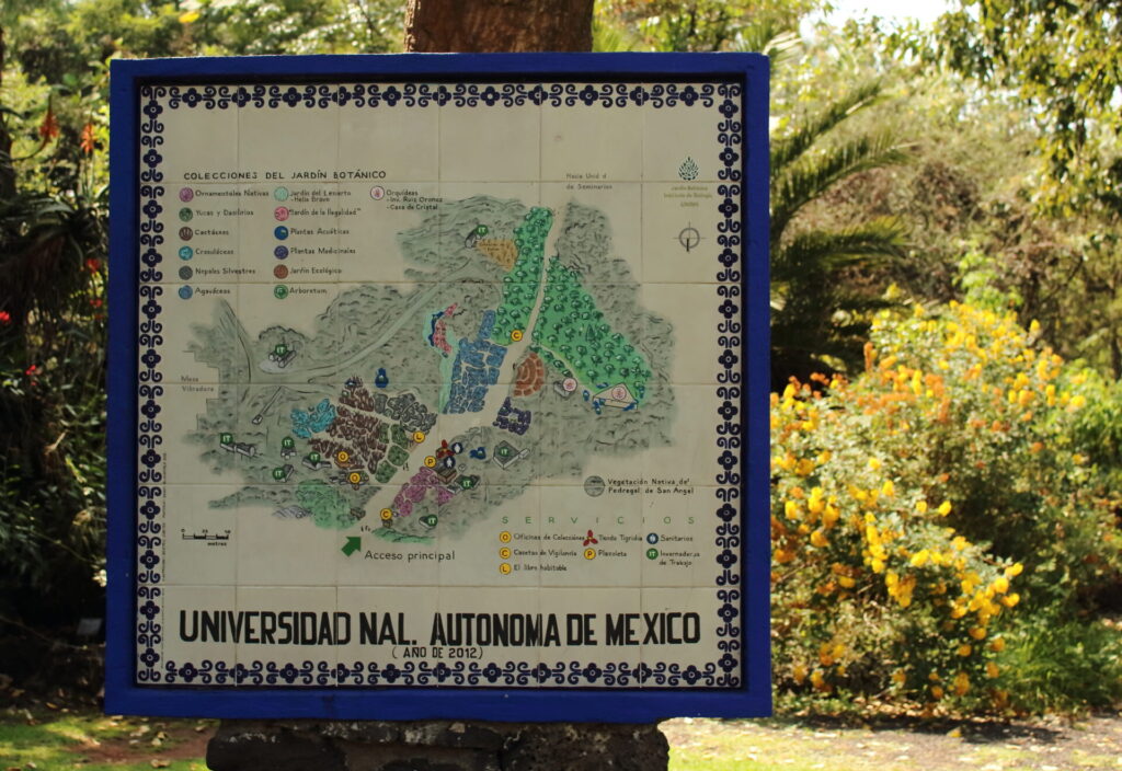 Jardín Botánico del Instituto de Biología de la UNAM. Créditos: Adrián Cerón