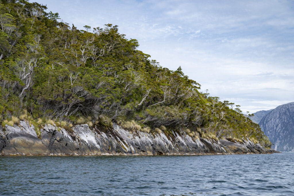 Reserva Nacional Katalalixar. Créditos: Benjamín Valenzuela Wallis.